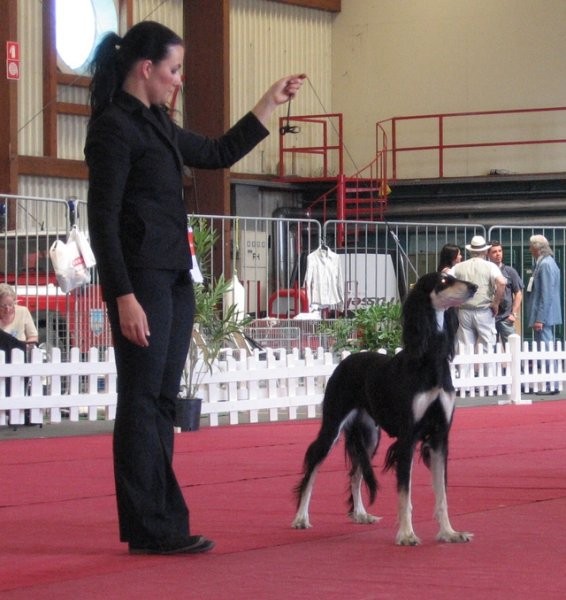 Cacib Portorož 2006 - foto povečava