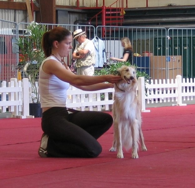 Cacib Portorož 2006 - foto povečava