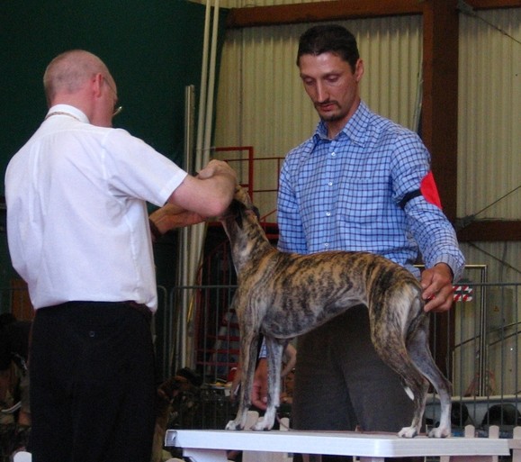Cacib Portorož 2006 - foto povečava