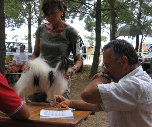 Črna gora (Bar/Petrovac/Ulcinj) - foto povečava