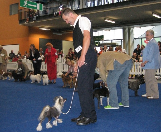 Cacib innsbruck 2006 - foto povečava