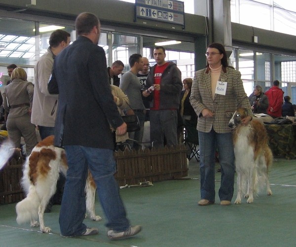 Cacib zagreb 25.11.06 - foto povečava