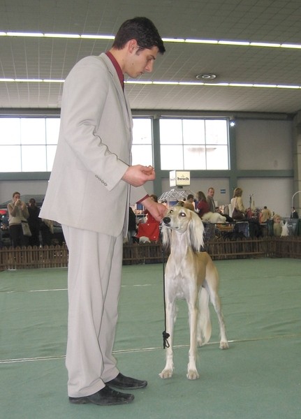 Cacib zagreb 25.11.06 - foto povečava