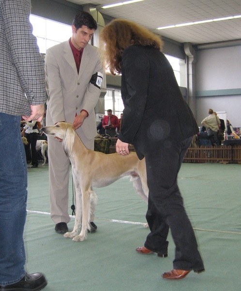 Cacib zagreb 25.11.06 - foto povečava