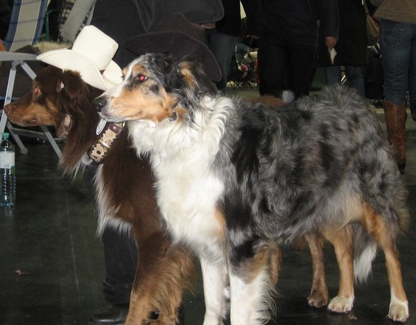 Wels 2.12.06 - foto povečava