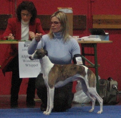 Wels 2.12.06 - foto povečava