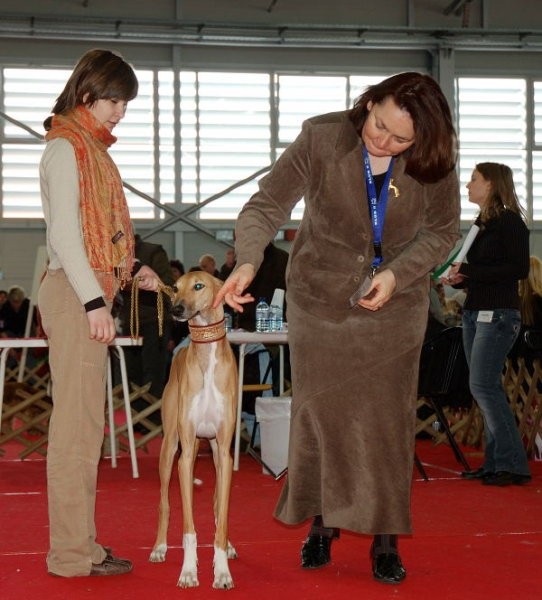 CAC Celje 2007 - foto povečava