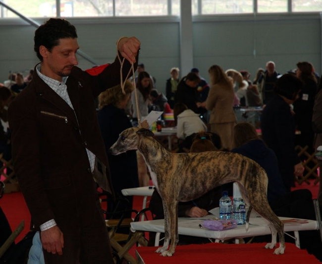 CAC Celje 2007 - foto povečava