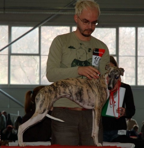 CAC Celje 2007 - foto