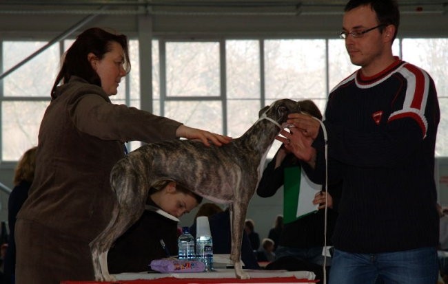 CAC Celje 2007 - foto povečava
