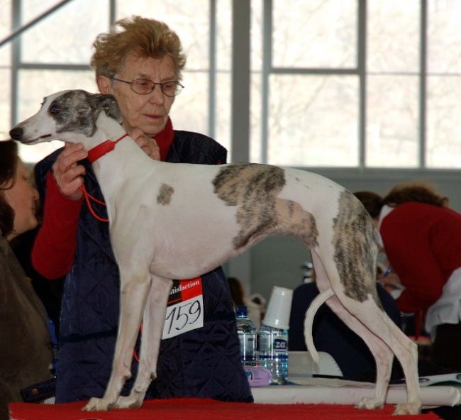 CAC Celje 2007 - foto povečava