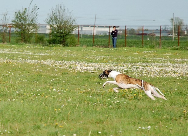 Ravenna coursing april 07 - foto