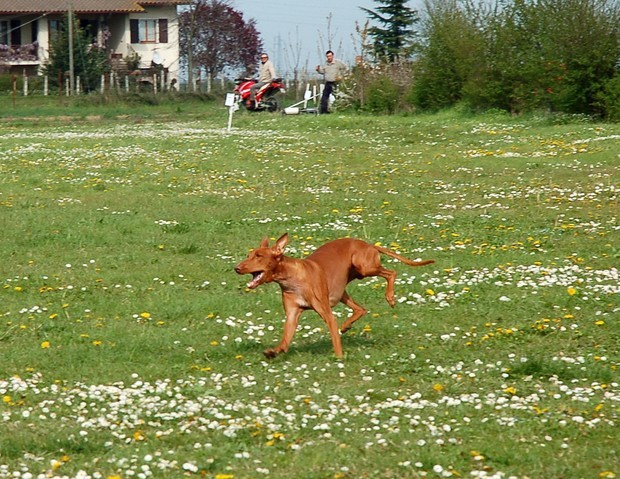 Ravenna coursing april 07 - foto povečava
