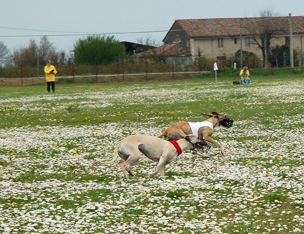 Ravenna coursing april 07 - foto