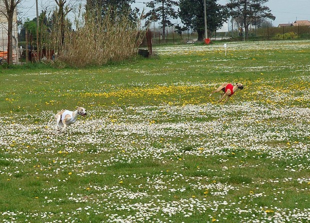 Ravenna coursing april 07 - foto povečava