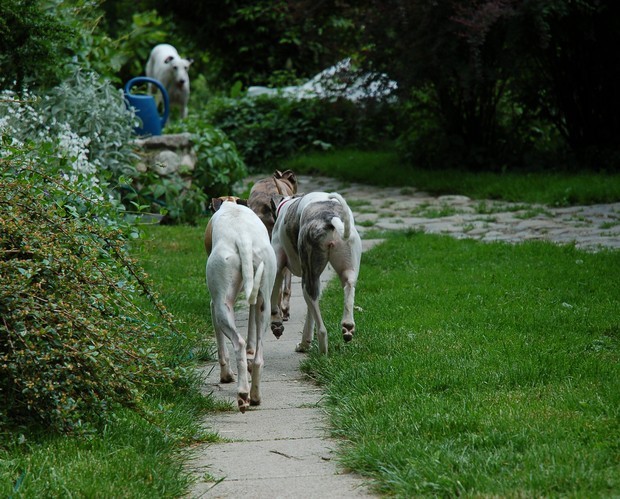 Leglo maj 2007 E - foto povečava