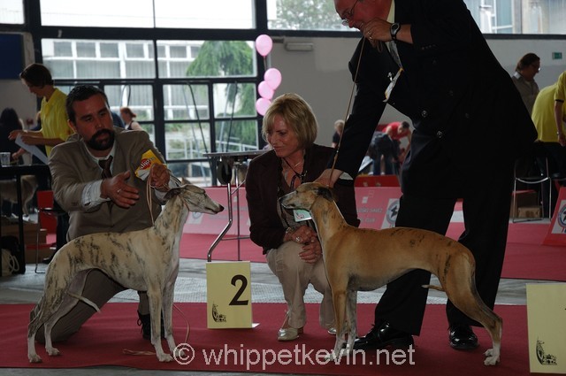 Eurodogshow zagreb - foto