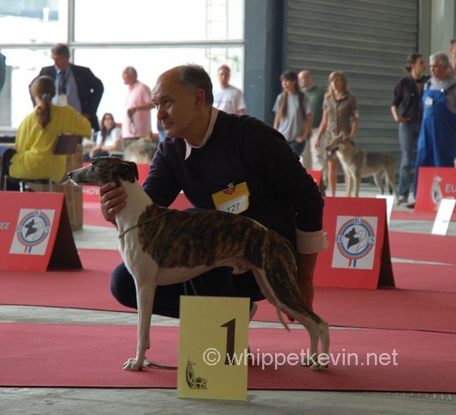 Eurodogshow zagreb - foto