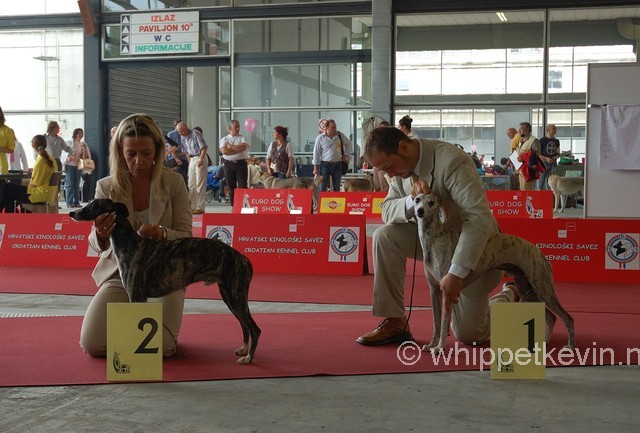 Eurodogshow zagreb - foto