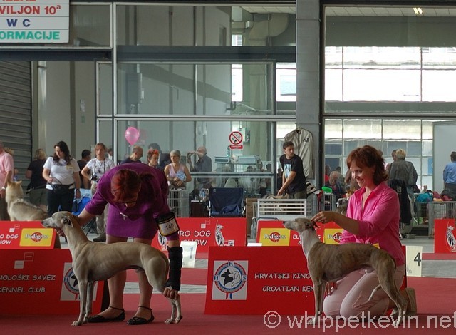 Eurodogshow zagreb - foto