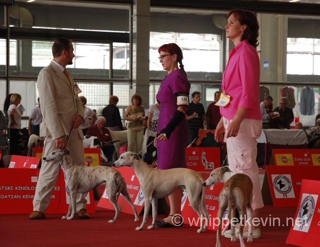 Eurodogshow zagreb - foto