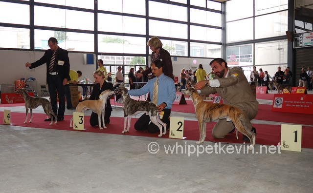 Eurodogshow zagreb - foto