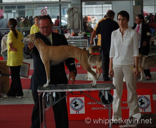 Eurodogshow zagreb - foto