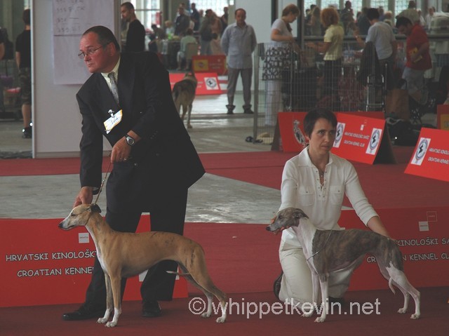 Eurodogshow zagreb - foto