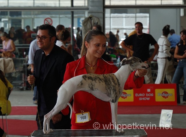 Eurodogshow zagreb - foto