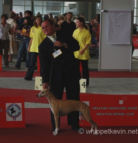 Eurodogshow zagreb - foto