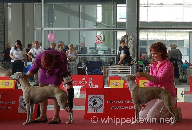 Eurodogshow zagreb - foto