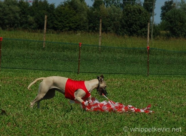 Trening palladio 08.07 - foto povečava