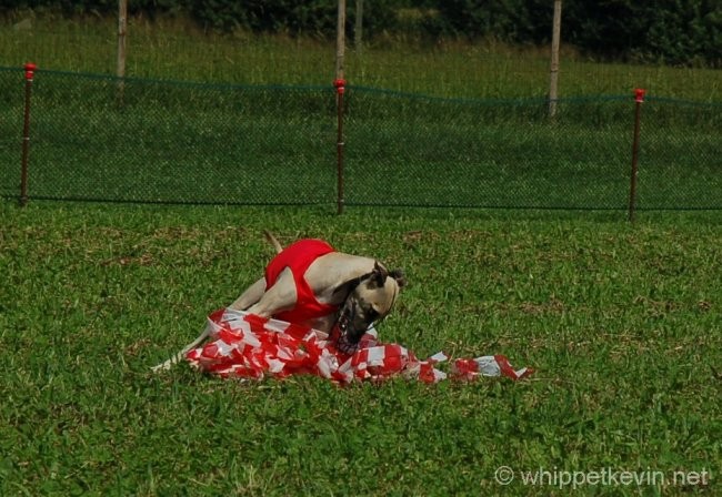 Trening palladio 08.07 - foto povečava