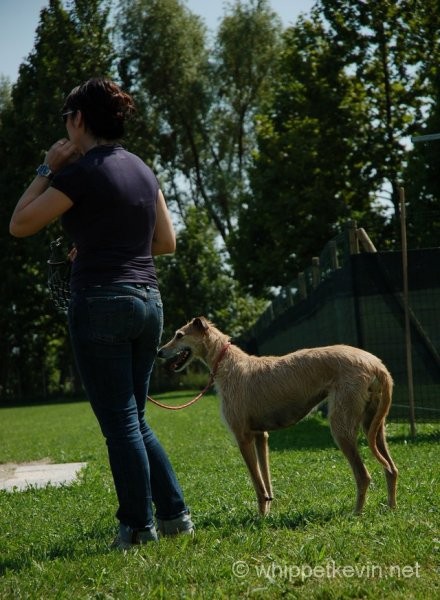 Trening palladio 08.07 - foto povečava