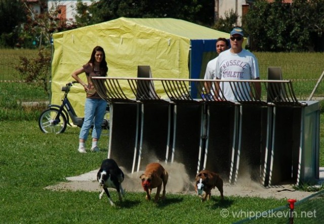 Trening palladio 08.07 - foto