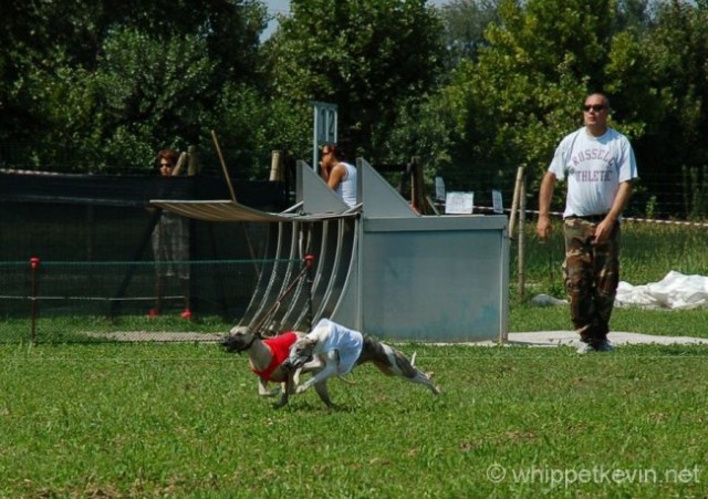 Trening palladio 08.07 - foto