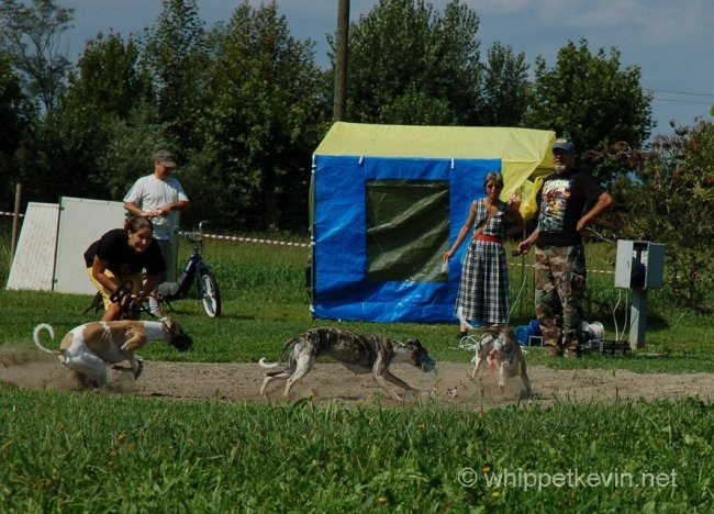 Trening palladio 08.07 - foto povečava