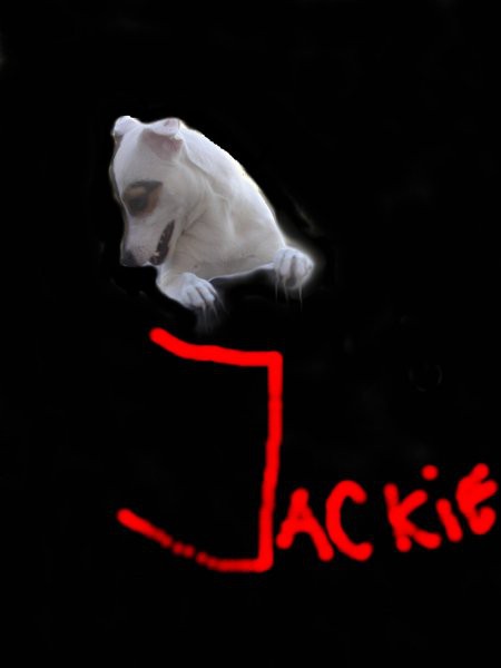 JACKIE-DŽEKY^^)MWA - foto povečava