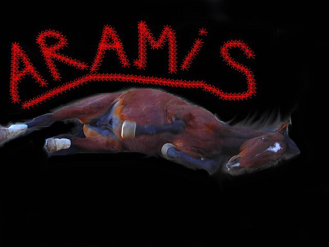 RAM/ARAMIS - foto