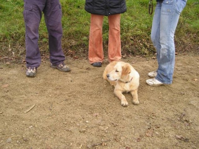 Gana in Rosa - foto