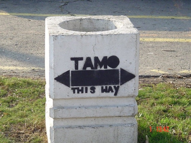 Tamo?This way?! Which Way??