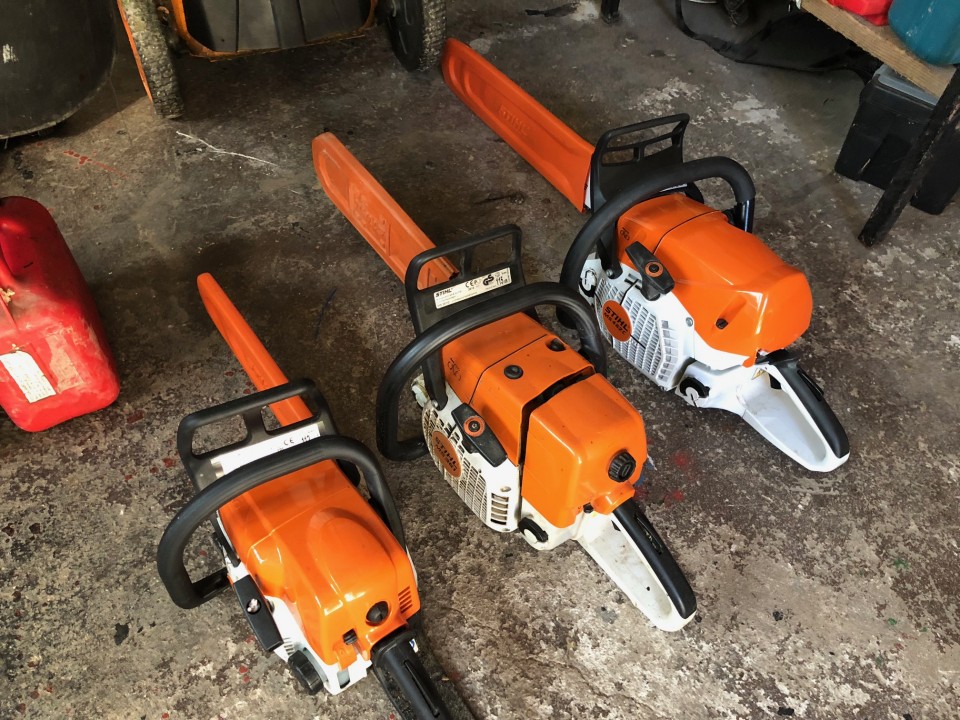 Gozdarstvo - foto povečava