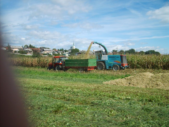 silaža 2007