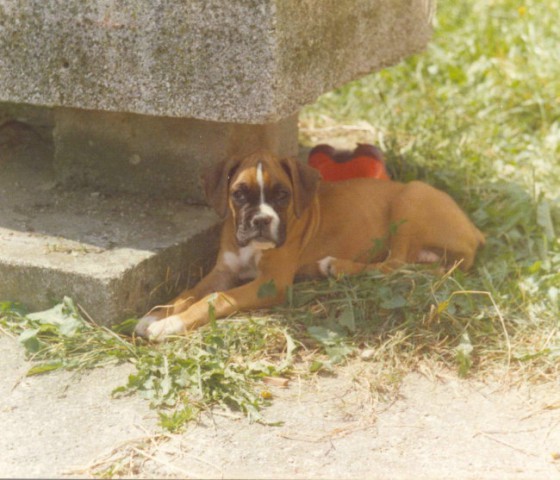 Olka 1998
