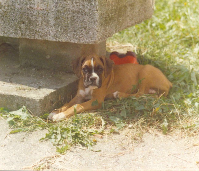 Olka 1998
