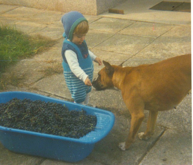 Juna Uroš 1989
