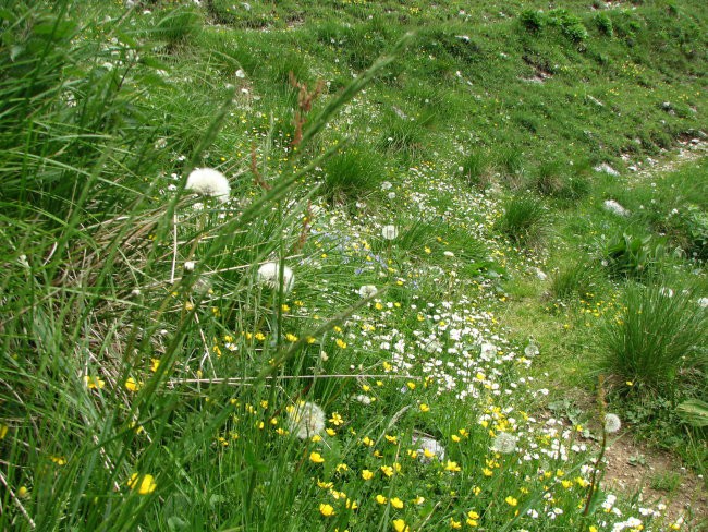 Storžič, 26.05.2007 - foto povečava