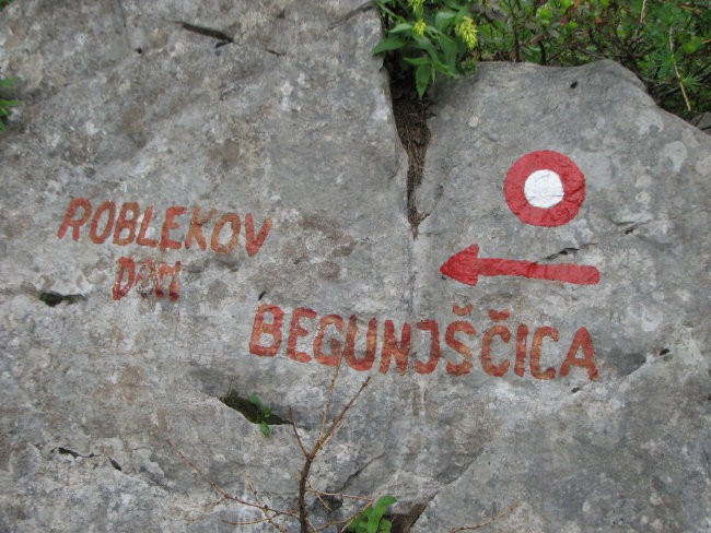 Zelenica, Roblekov dom, Prevala, 09.06.2007 - foto povečava
