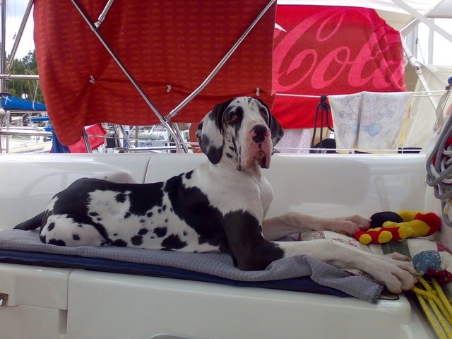Julij 2008