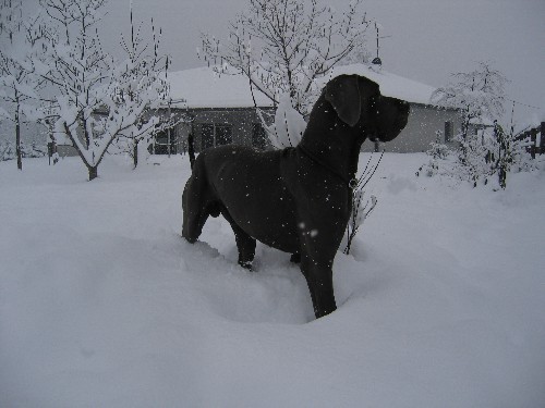 26.11.-zapadlo je 35 cm-jupi!!!!!!!